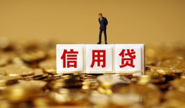 成都个人哪里可以民间借贷-成都个人私人借钱当天拿钱-成都个人贷款联系电话