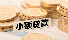 成都个人哪里有小额贷款-成都个人身份证贷款平台-成都个人民间短借